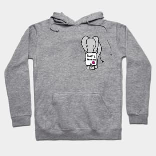 Small Elephant with Nasty Woman Sign Hoodie
